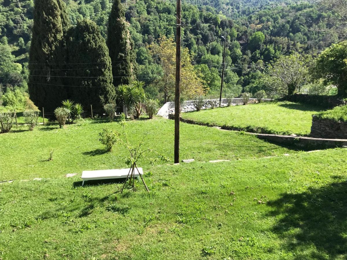 Maison De Charme Corse Sauvage Pietra-di-Verde Exteriér fotografie