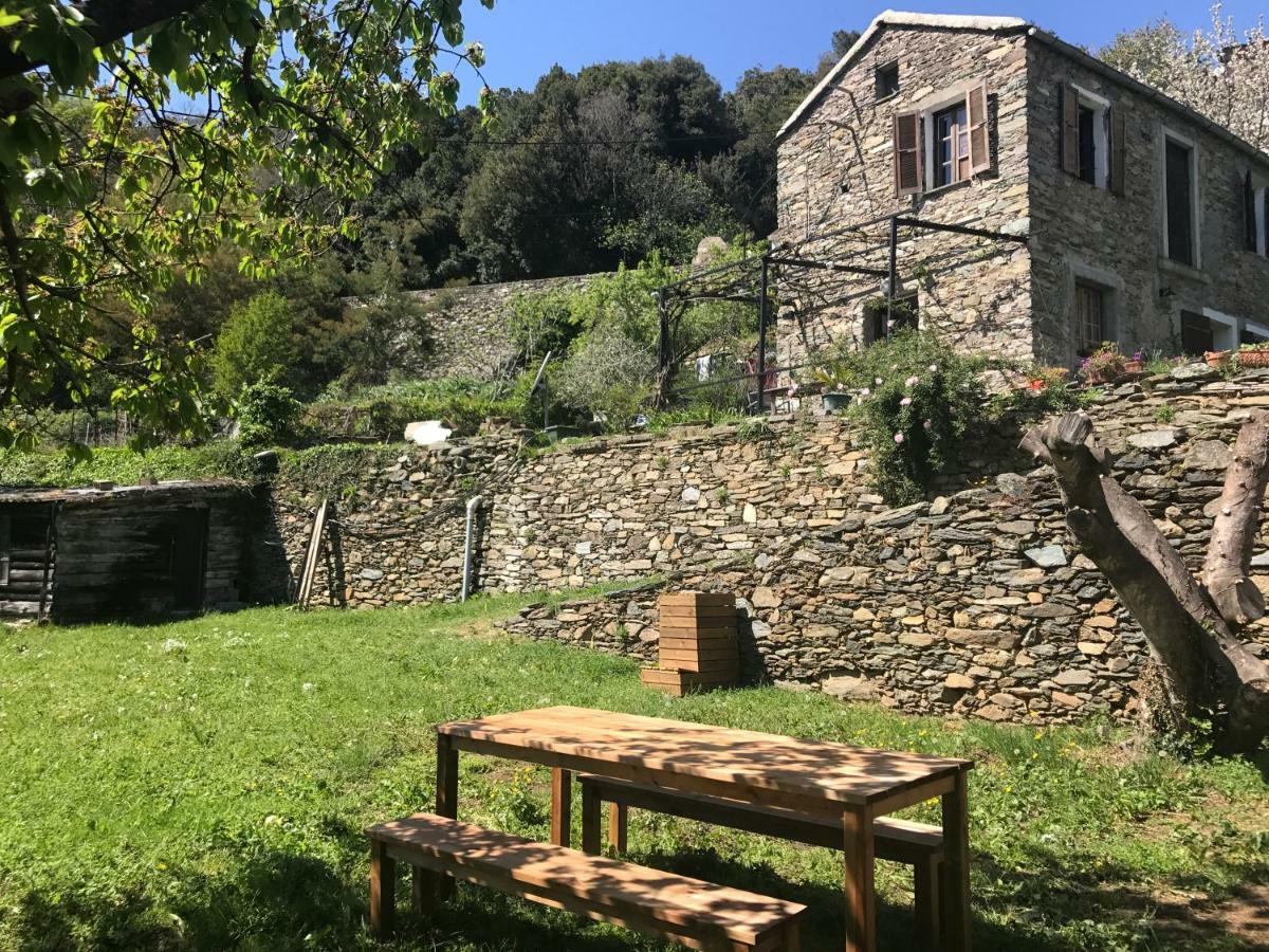 Maison De Charme Corse Sauvage Pietra-di-Verde Exteriér fotografie